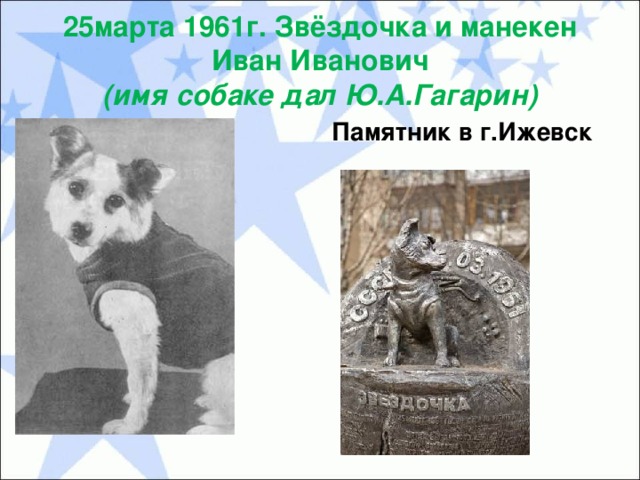 25марта 1961г. Звёздочка и манекен Иван Иванович  (имя собаке дал Ю.А.Гагарин) Памятник в г.Ижевск