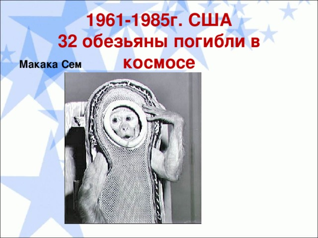 1961-1985г. США  32 обезьяны погибли в космосе Макака Сем