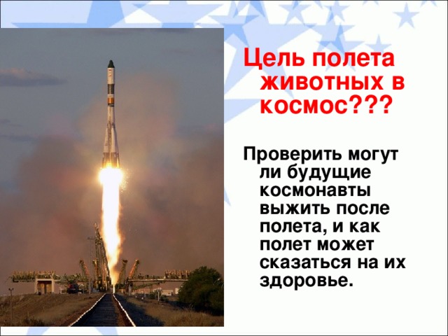 Цель полета животных в космос??? Проверить могут ли будущие космонавты выжить после полета, и как полет может сказаться на их здоровье.