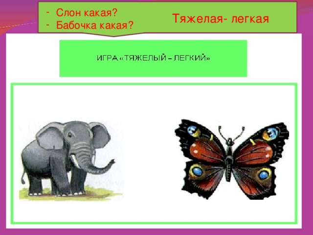 Слон какая? Бабочка какая?