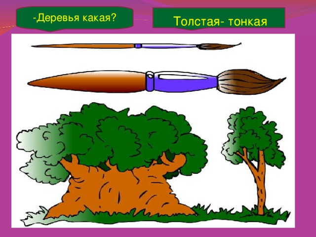 -Деревья какая? Толстая- тонкая