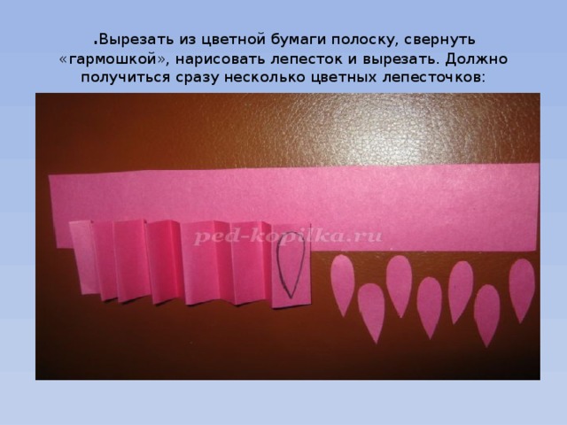 . Вырезать из цветной бумаги полоску, свернуть «гармошкой», нарисовать лепесток и вырезать. Должно получиться сразу несколько цветных лепесточков: