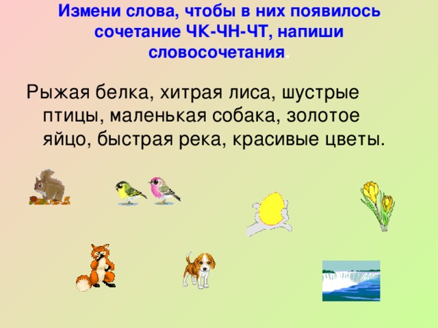 Измени слова, чтобы в них появилось сочетание ЧК-ЧН-ЧТ, напиши словосочетания .   Рыжая белка, хитрая лиса, шустрые птицы, маленькая собака, золотое яйцо, быстрая река, красивые цветы.