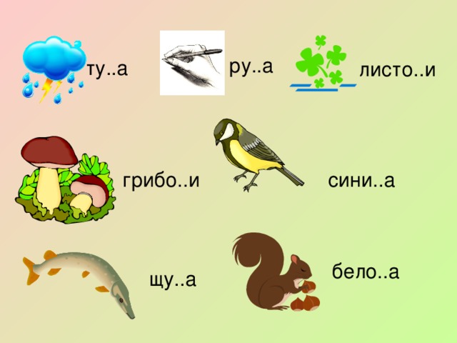 ту..а ру..а листо..и грибо..и сини..а бело..а щу..а