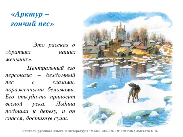 «Арктур – гончий пес»  Это рассказ о «братьях наших меньших».  Центральный его персонаж – бездомный пес с глазами, пораженными бельмами. Его откуда-то приносит весной река. Льдина подошла к берегу, и он спасся, достигнув суши. Учитель русского языка и литературы 