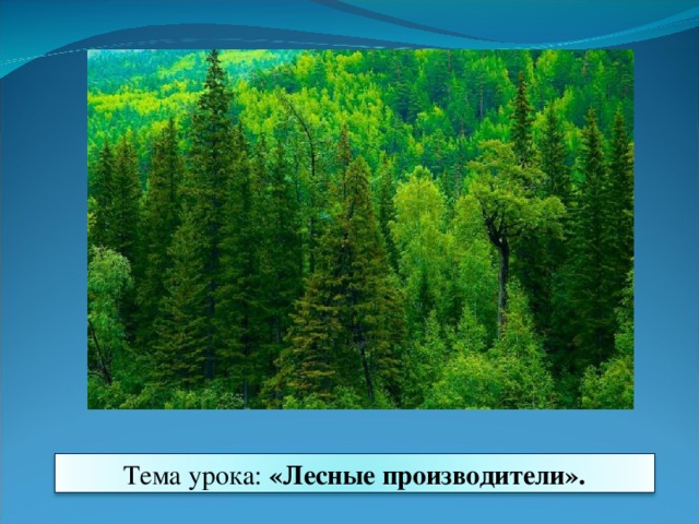 Тема урока: «Лесные производители».