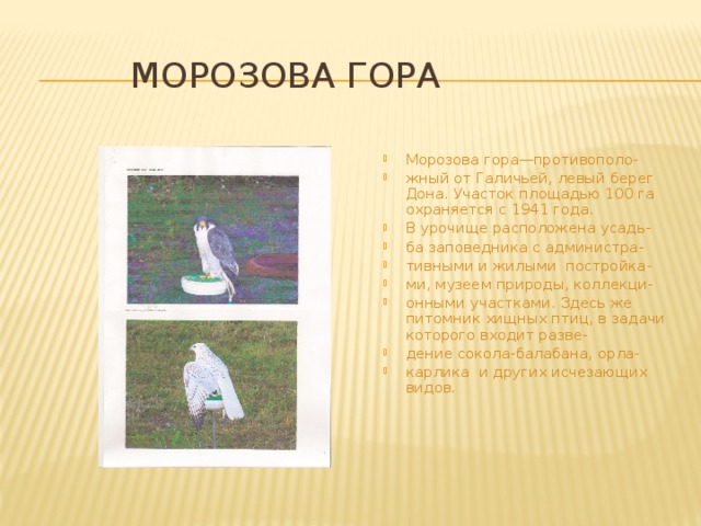 Морозова гора