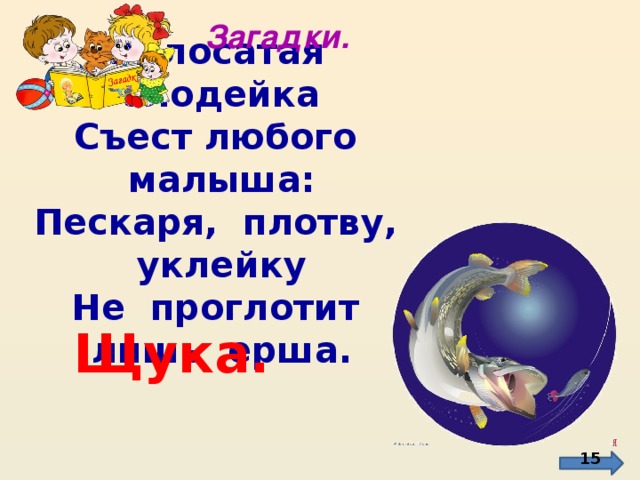 Загадки. Полосатая злодейка Съест любого малыша: Пескаря, плотву, уклейку Не проглотит лишь ерша.  Щука.