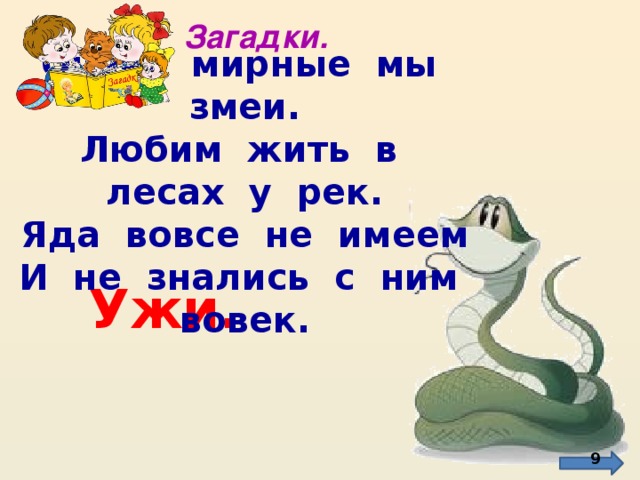 Загадки. Очень мирные мы змеи. Любим жить в лесах у рек. Яда вовсе не имеем И не знались с ним вовек.  Ужи.