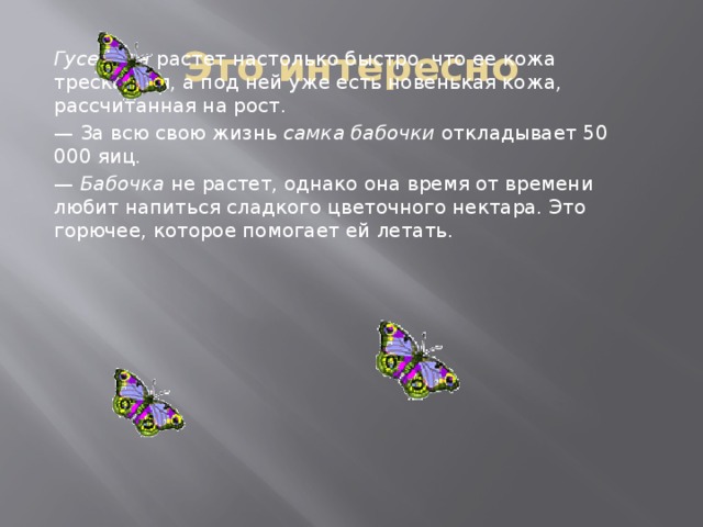 Это интересно Гусеница растет настолько быстро, что ее кожа трескается, а под ней уже есть новенькая кожа, рассчитанная на рост. — За всю свою жизнь самка бабочки откладывает 50 000 яиц. — Бабочка не растет, однако она время от времени любит напиться сладкого цветочного нектара. Это горючее, которое помогает ей летать.