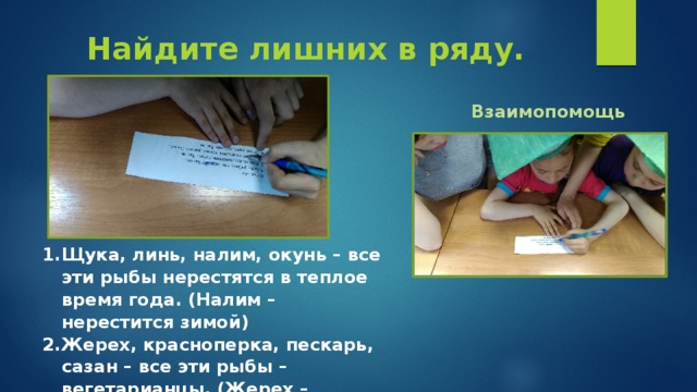 Найдите лишних в ряду. Взаимопомощь Щука, линь, налим, окунь – все эти рыбы нерестятся в теплое время года. (Налим – нерестится зимой) Жерех, красноперка, пескарь, сазан – все эти рыбы – вегетарианцы. (Жерех – хищная рыба)  