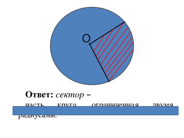 О Ответ:  сектор  –  часть круга, ограниченная двумя радиусами.