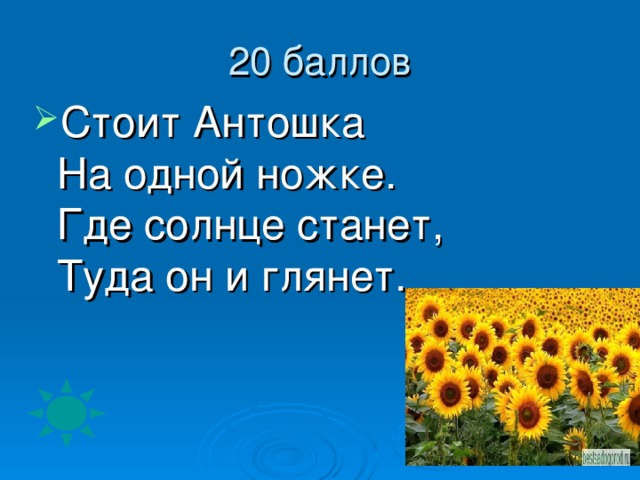 Стоит Антошка  На одной ножке.  Где солнце станет,  Туда он и глянет.