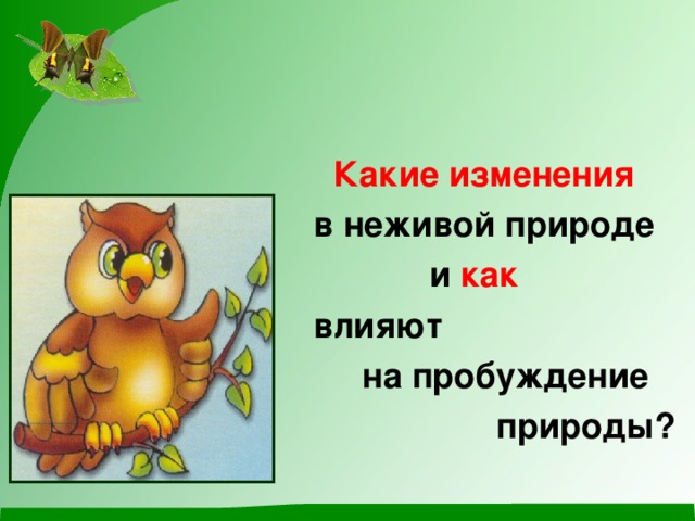 Какие изменения   в неживой природе  и как   влияют  на пробуждение  природы?