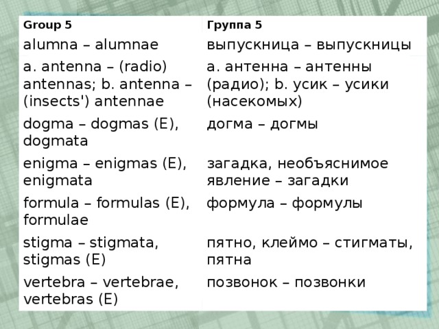 Group 5 Группа 5 alumna – alumnae выпускница – выпускницы a. antenna – (radio) antennas; b. antenna – (insects') antennae a. антенна – антенны (радио); b. усик – усики (насекомых) dogma – dogmas (E), dogmata догма – догмы enigma – enigmas (E), enigmata загадка, необъяснимое явление – загадки formula – formulas (E), formulae формула – формулы stigma – stigmata, stigmas (E) пятно, клеймо – стигматы, пятна vertebra – vertebrae, vertebras (E) позвонок – позвонки