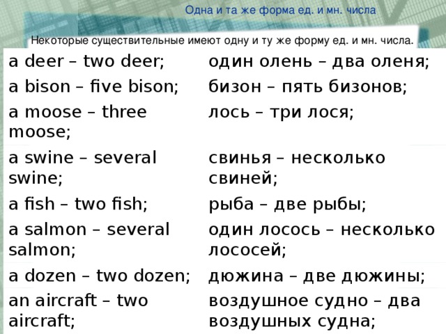 Рыба во множественном. Deer множественное число. Олени по-английски во множественном числе. Олени по английскому во множественном числе. Олень во множественном числе на английском языке.