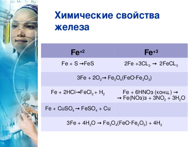 Химические свойства железа Fe +2 Fe +3 Fe + S → FeS 2Fe +3CL 2 → 2FeCL 3 3Fe + 2 О 2 → Fe 3 O 4 (FeO·Fe 2 O 3 ) Fe + 2HC l → FeC l 2 + H 2 Fе + 6HNOз (конц.) →   → Fе(NOз)з + 3NО 2 + 3Н 2 О Fe + CuSO 4 → FeSO 4 + Cu 3Fe + 4H 2 O → Fe 3 O 4 (FeO·Fe 2 O 3 ) + 4H 2