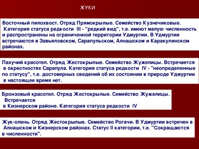 ЖУКИ Восточный пилохвост. Отряд Прямокрылые. Семейство Кузнечиковые.   Категория статуса редкости  III - 