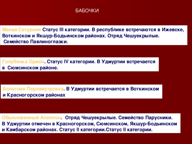 БАБОЧКИ Малая Сатурния   Статус III категории. В республике встречаются в Ижевске, Воткинском и Якшур-Бодьинском районах. Отряд Чешуекрылые.  Семейство Павлиноглазки.  Голубянка Орион . Статус IV категории. В Удмуртии встречается в  Сюмсинском районе.  Болотная Перламутровка . В Удмуртии встречается в Воткинском и Красногорском районах  Обыкновенный Аполлон .  Отряд Чешуекрылые. Семейство Парусники.  В Удмуртии отмечен в Красногорском, Сюмсинском, Якшур-Бодьинском и Камбарском районах. Статус II категории.Статус II категории.