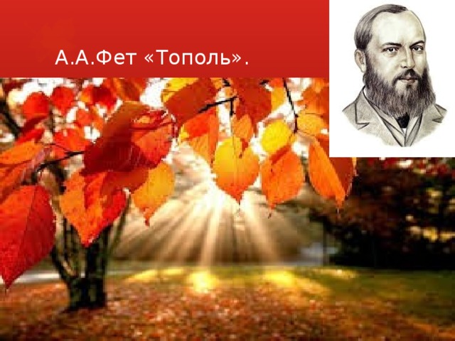 А.А.Фет «Тополь».