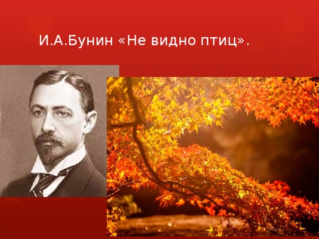 И.А.Бунин «Не видно птиц».