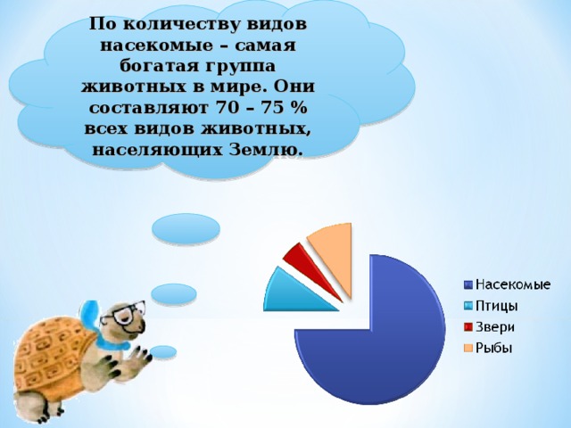 По количеству видов насекомые – самая богатая группа животных в мире. Они составляют 70 – 75 % всех видов животных, населяющих Землю.