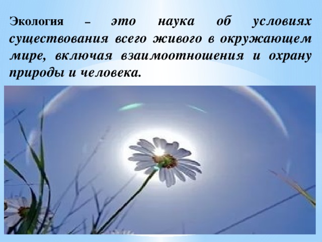 Экология – это наука об условиях существования всего живого в окружающем мире, включая взаимоотношения и охрану природы и человека.