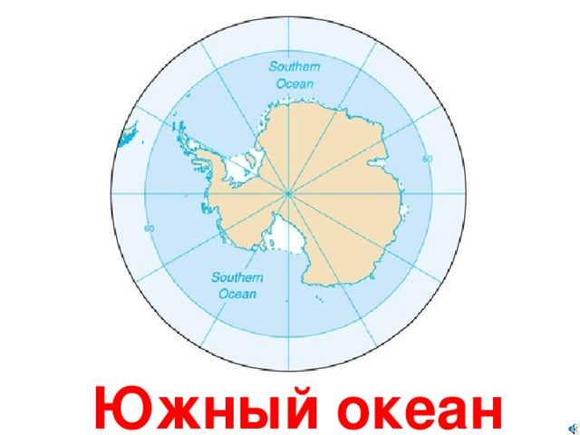 Южный океан