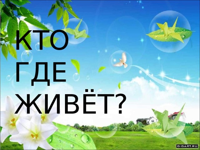 КТО  ГДЕ  ЖИВЁТ?