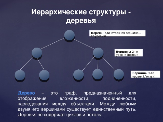 Иерархические структуры - деревья Корень  (единственная вершина 1-го  уровня) Вершины 2-го уровня (Ветви) Вершины 3-го уровня (Листья) Дерево  – это граф, предназначенный для отображения вложенности, подчиненности, наследования между объектами. Между любыми двумя его вершинами существует единственный путь. Деревья не содержат циклов и петель.