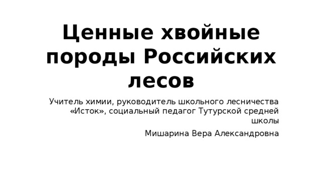 Ценные хвойные породы Российских лесов Учитель химии, руководитель школьного лесничества «Исток», социальный педагог Тутурской средней школы Мишарина Вера Александровна