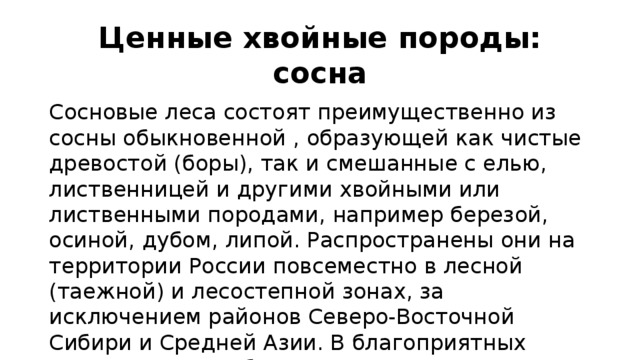 Ценные хвойные породы: сосна Сосновые леса состоят преимущественно из сосны обыкновенной , образующей как чистые древостой (боры), так и смешанные с елью, лиственницей и другими хвойными или лиственными породами, например березой, осиной, дубом, липой. Распространены они на территории России повсеместно в лесной (таежной) и лесостепной зонах, за исключением районов Северо-Восточной Сибири и Средней Азии. В благоприятных условиях сосна обыкновенная достигает 30 — 35 м высоты при диаметре ствола до 1 м.