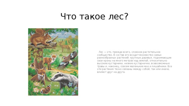 Что такое лес?  Лес — это, прежде всего, сложное растительное сообщество. В состав его входит множество самых разнообразных растений: крупные деревья, поднимающие свои кроны на много метров над землей, относительно высокие кустарники, низкие кустарнички, всевозможные травы и, наконец, совсем маленькие мхи и лишайники. Все эти растения тесно связаны между собой, так или иначе, влияют друг на друга.