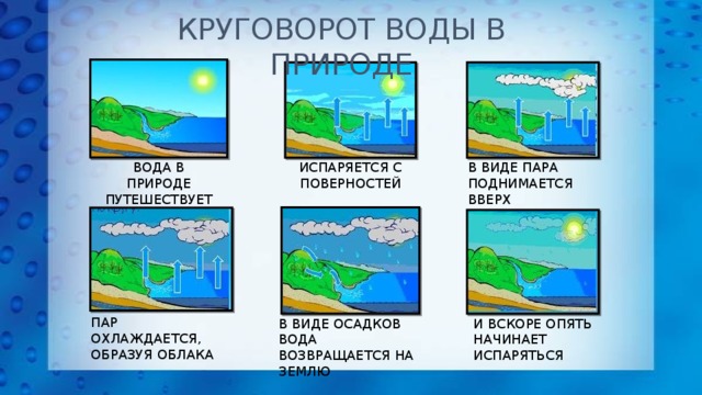 КРУГОВОРОТ ВОДЫ В ПРИРОДЕ ВОДА В ПРИРОДЕ ПУТЕШЕСТВУЕТ ПО КРУГУ ИСПАРЯЕТСЯ С ПОВЕРНОСТЕЙ В ВИДЕ ПАРА ПОДНИМАЕТСЯ ВВЕРХ ПАР ОХЛАЖДАЕТСЯ, ОБРАЗУЯ ОБЛАКА В ВИДЕ ОСАДКОВ ВОДА ВОЗВРАЩАЕТСЯ НА ЗЕМЛЮ И ВСКОРЕ ОПЯТЬ НАЧИНАЕТ ИСПАРЯТЬСЯ