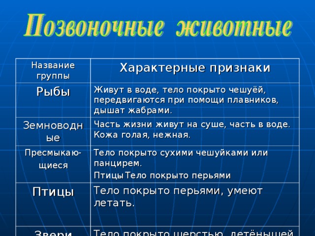 Название группы Характерные признаки Рыбы Живут в воде, тело покрыто чешуёй, передвигаются при помощи плавников, дышат жабрами. Земноводные Часть жизни живут на суше, часть в воде. Кожа голая, нежная. Пресмыкаю- щиеся Тело покрыто сухими чешуйками или панцирем. Птицы  Тело покрыто перьями Птицы Тело покрыто перьями, умеют летать. Звери Тело покрыто шерстью, детёнышей кормят молоком