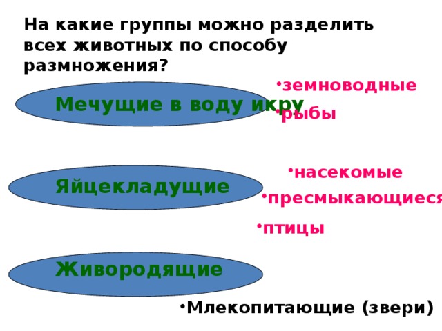 На какие группы можно разделить всех животных по способу размножения? земноводные Мечущие в воду икру Яйцекладущие Живородящие