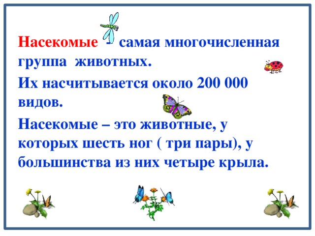 Насекомые - самая многочисленная группа животных. Их насчитывается около 200 000 видов. Насекомые – это животные, у которых шесть ног ( три пары), у большинства из них четыре крыла.