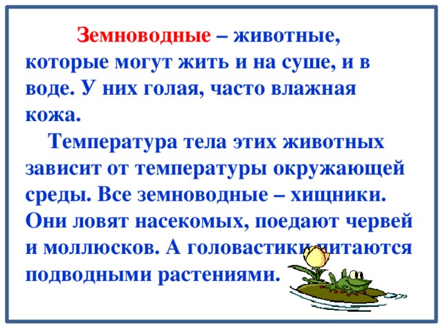 Земноводные – животные, которые могут жить и на суше, и в воде. У них голая, часто влажная кожа.  Температура тела этих животных зависит от температуры окружающей среды. Все земноводные – хищники. Они ловят насекомых, поедают червей и моллюсков. А головастики питаются подводными растениями.