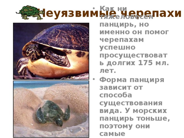 Неуязвимые черепахи