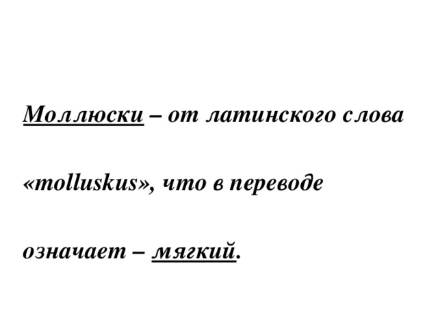 Моллюски – от латинского слова  «molluskus», что в переводе  означает – мягкий .