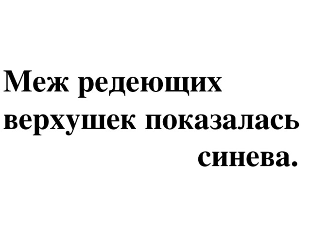 Меж редеющих верхушек показалась  синева.