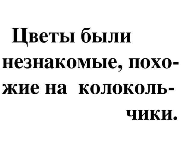 Цветы были незнакомые, похо- жие на колоколь-  чики.