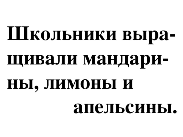 Школьники выра-  щивали мандари-  ны, лимоны и  апельсины.