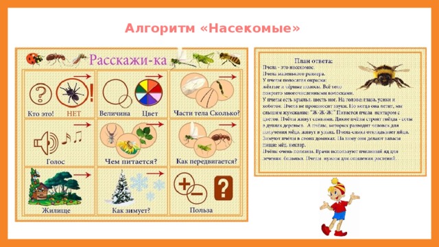 Алгоритм «Насекомые»