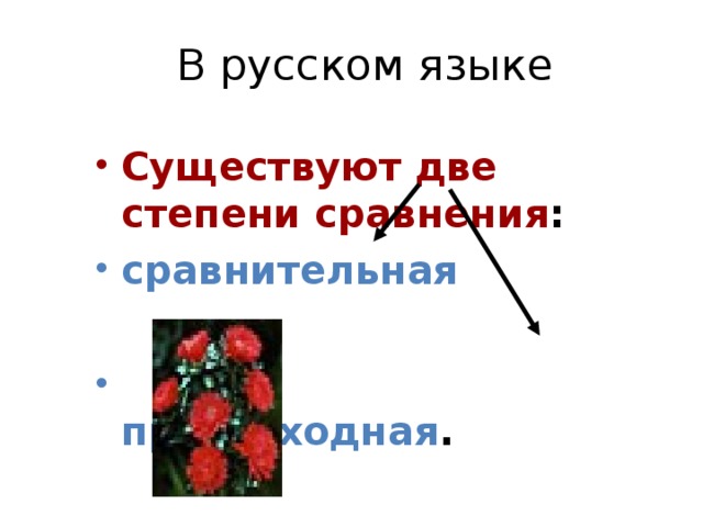 В русском языке