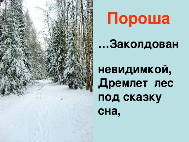 Пороша … Заколдован  невидимкой, Дремлет лес под сказку сна,