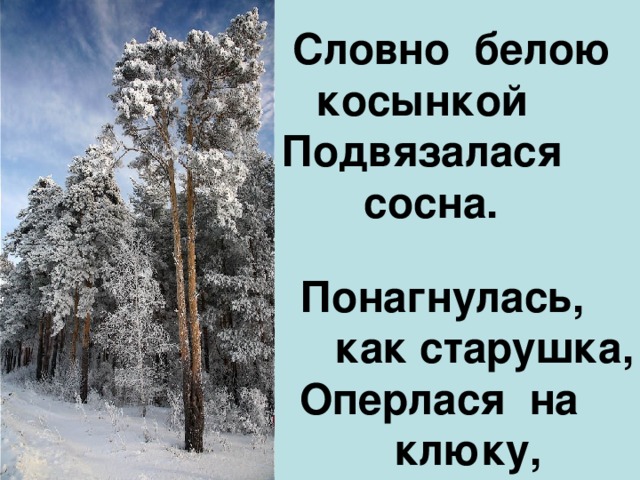 Словно белою  косынкой Подвязалася  сосна. Понагнулась,  как старушка, Оперлася на  клюку,