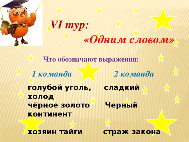 VI тур:  «Одним словом»  Что обозначают выражения:          голубой уголь, сладкий холод чёрное золото Черный континент хозяин тайги страж закона   1 команда 2 команда  .