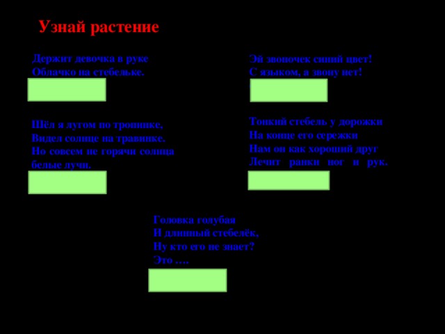 Узнай растение Держит девочка в руке Облачко на стебельке. (Одуванчик) Эй звоночек синий цвет! С языком, а звону нет! (колокольчик) Тонкий стебель у дорожки На конце его сережки Нам он как хороший друг Лечит ранки ног и рук. (Подорожник) Шёл я лугом по тропинке, Видел солнце на травинке. Но совсем не горячи солнца белые лучи. (Ромашка) Головка голубая И длинный стебелёк, Ну кто его не знает? Это …. (василёк)