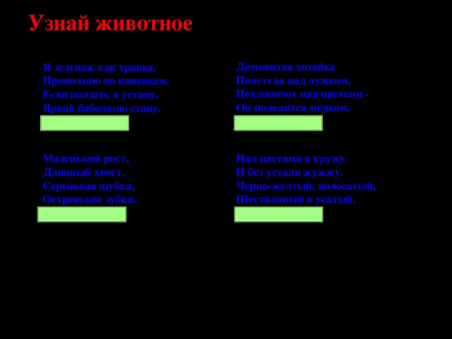 Узнай животное Домовитая хозяйка Полетела над лужком, Похлопочет над цветком - Он поделится медком. (Пчела) Я зеленая, как травка, Проползаю по канавкам. Если ползать я устану, Яркой бабочкою стану. (Гусеница) Над цветами я кружу Маленький рост, Длинный хвост, И без устали жужжу. Черно-желтый, полосатый, Серенькая шубка, Остренькие зубки. Шестилапый и усатый. (Шмель) Мышь